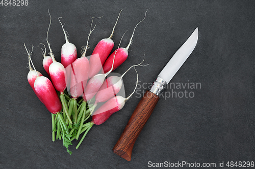 Image of Healthy Radish Vegetables for Immune Boost
