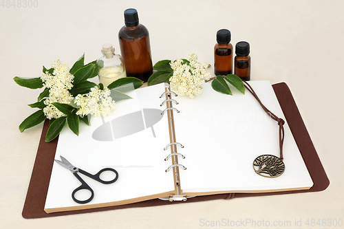 Image of Elderflower Herb Used in Natural Herbal Medicine