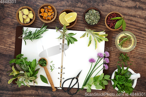 Image of Spices and Herbs used in Culinary Seasoning