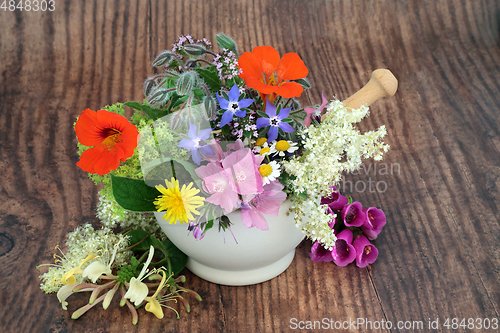 Image of Flowers and Herbs for Natural Plant Based Herbal Remedies