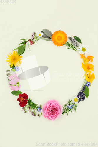 Image of Summer Wreath of Naturopathic Herbs and Flowers