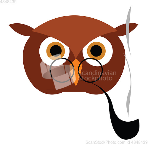 Image of Smoking owl illustration vector on white background 