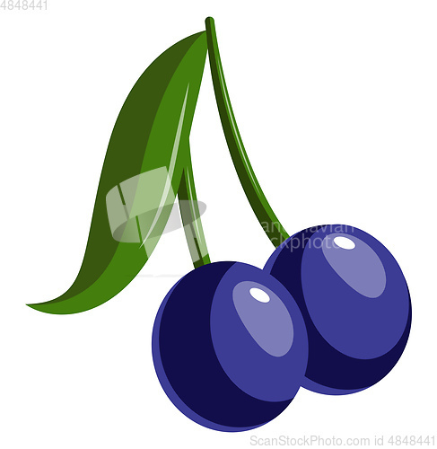Image of Two Blue Berries, vector color illustration.