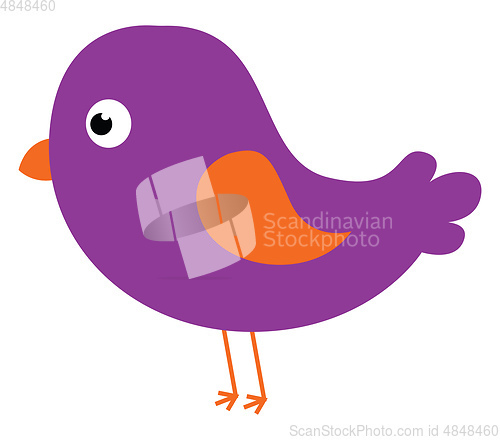 Image of Cartoon purple bird set on isolated white background viewed from