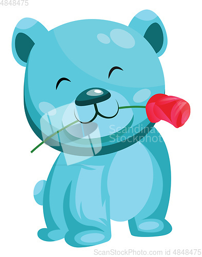 Image of Turquoise bear holding a red rose in his mouth vector illustrati