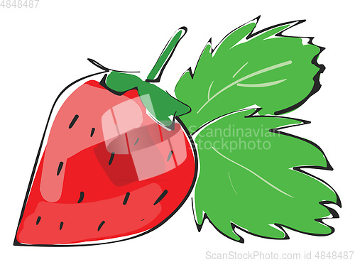 Image of Sketch of strawberry vector or color illustration