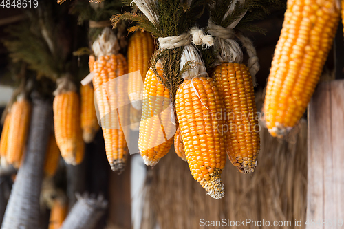 Image of Dry corn