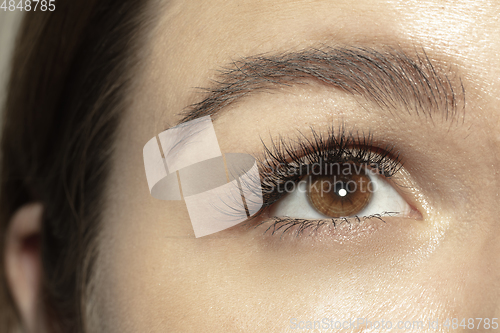 Image of Close up of face of beautiful caucasian young woman, focus on eyes