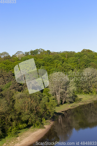 Image of tree near the river