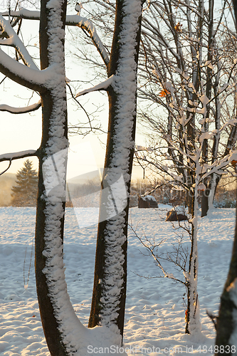 Image of Snow drifts in winter