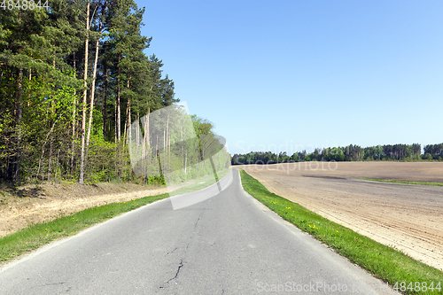 Image of Forest road