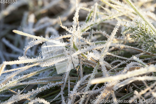 Image of Winter time of the year, photo