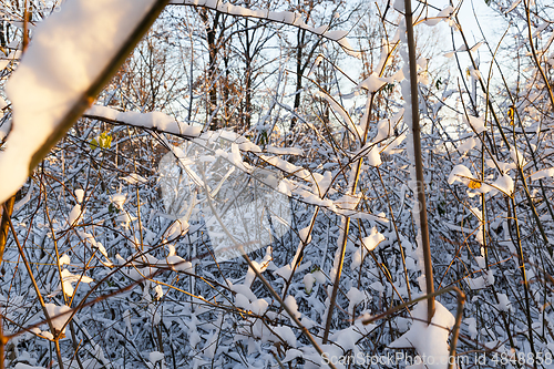 Image of Snow drifts in winter
