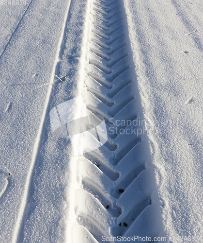 Image of Track in Snow