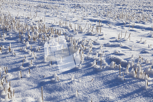 Image of Snow drifts in winter