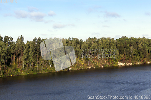 Image of Trees near the river,