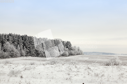 Image of Snow drifts