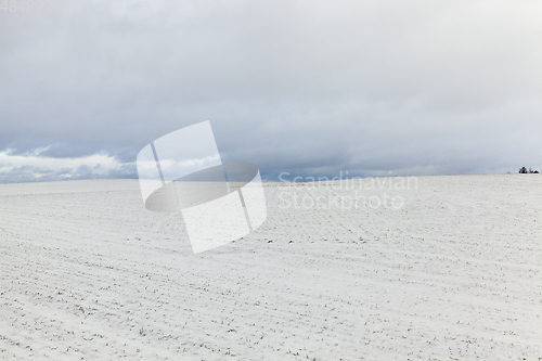 Image of Snow drifts in winter