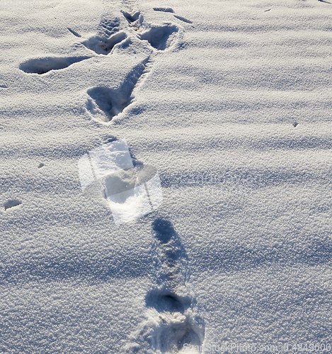 Image of Footprints of a person