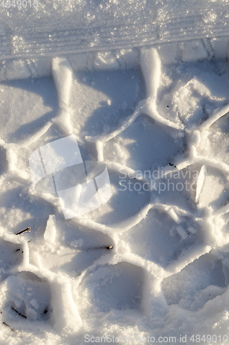 Image of cells in the snow