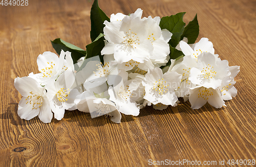 Image of dirty flowers of jasmine