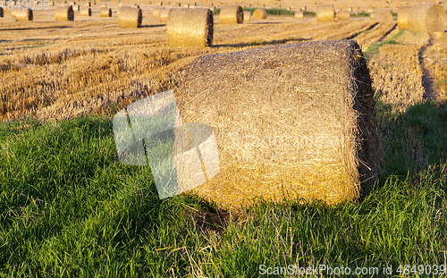 Image of Straw stacks