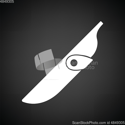 Image of Knife scabbard icon