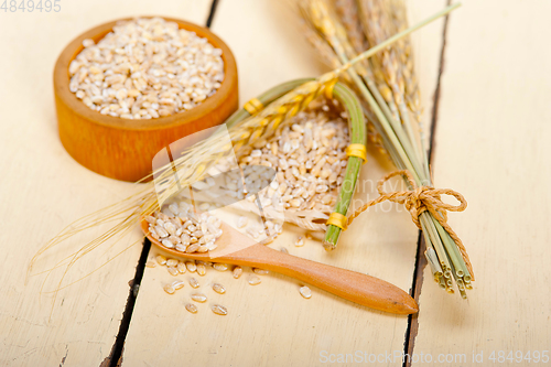 Image of organic barley grains