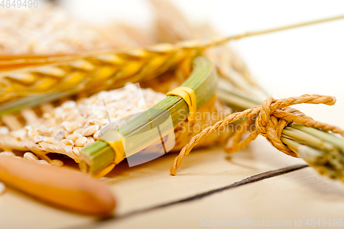 Image of organic barley grains