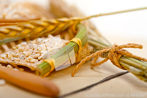 Image of organic barley grains