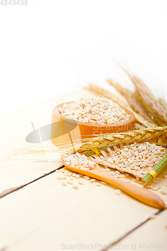 Image of organic barley grains