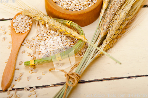 Image of organic barley grains