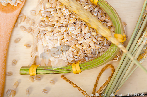 Image of organic barley grains