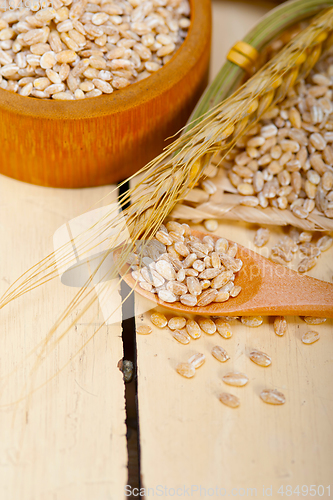 Image of organic barley grains