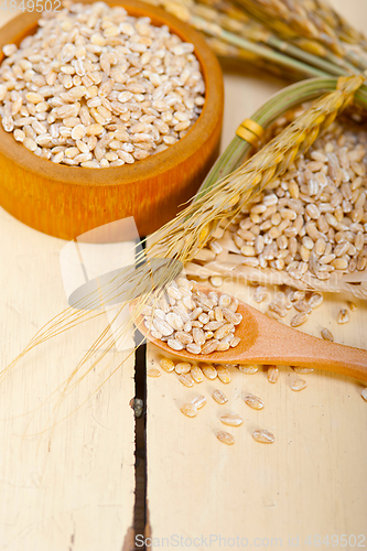 Image of organic barley grains