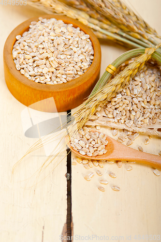 Image of organic barley grains