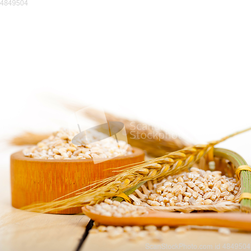 Image of organic barley grains