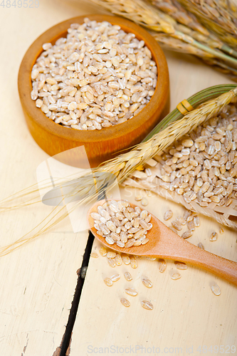 Image of organic wheat grains