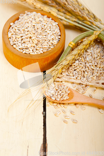 Image of organic wheat grains