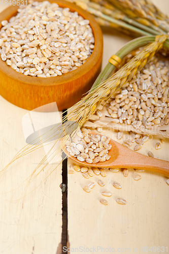 Image of organic wheat grains