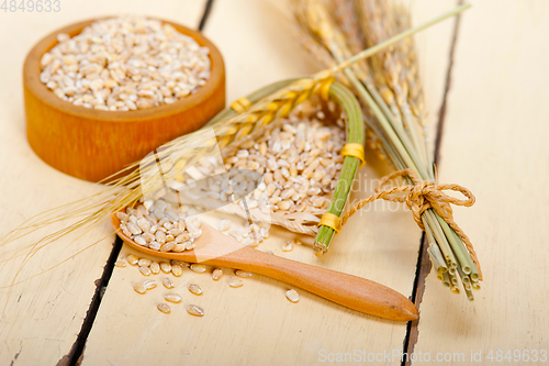 Image of organic wheat grains