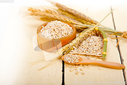 Image of organic wheat grains