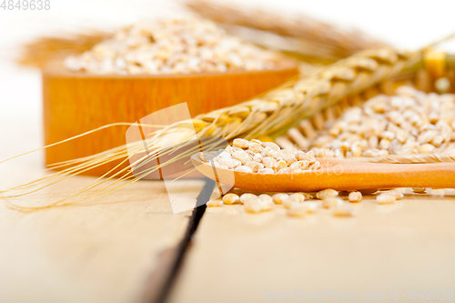 Image of organic wheat grains