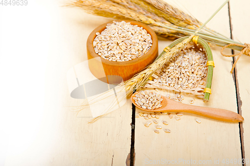 Image of organic wheat grains