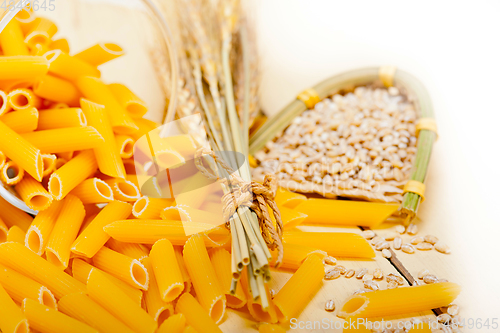 Image of Italian pasta penne with wheat