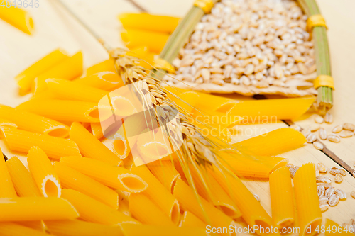 Image of Italian pasta penne with wheat