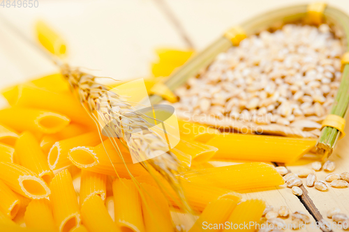 Image of Italian pasta penne with wheat