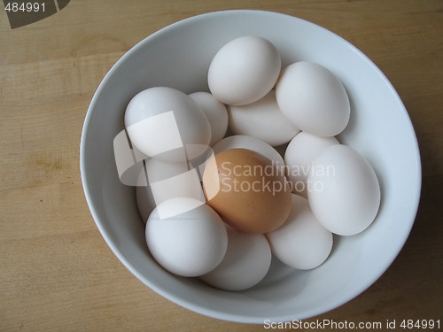 Image of white and brown eggs