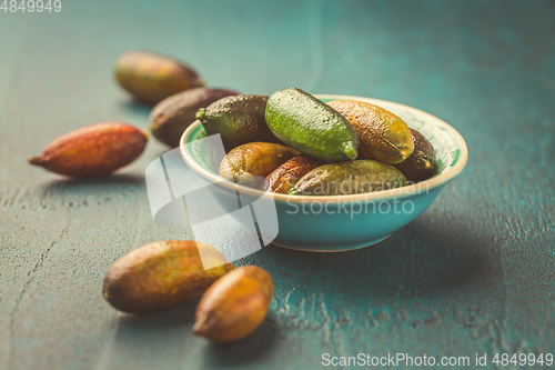 Image of Australian finger lime or caviar lime, edible fruits used in gourmet cuisine