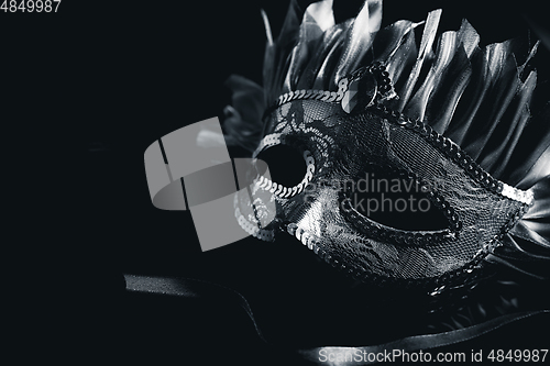 Image of Carnival mask on black background